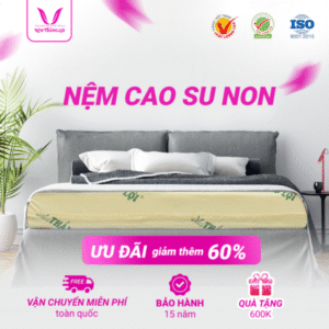 NỆM CAO SU NON THẮNG LỢI