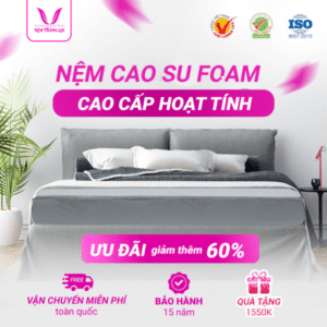 NỆM CAO SU FOAM CAO CẤP HOẠT TÍNH THẮNG LỢI