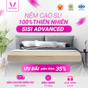 NỆM 100% CAO SU THIÊN NHIÊN THẮNG LỢI SISI – ADVANCED