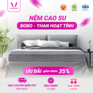 NỆM 100% CAO SU THIÊN NHIÊN THẮNG LỢI BOBO – THAN HOẠT TÍNH