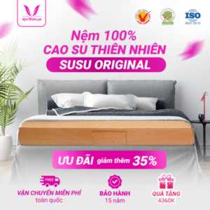 NỆM 100% CAO SU THIÊN NHIÊN THẮNG LỢI SUSU – ORIGINAL
