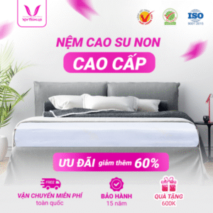 NỆM CAO SU NON CAO CẤP THẮNG LỢI