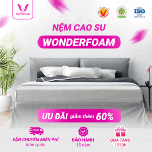 NỆM CAO SU WONDER FOAM THẮNG LỢI