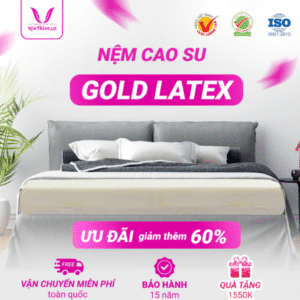 NỆM CAO SU GOLD LATEX THẮNG LỢI