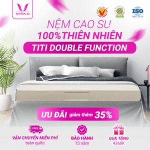 NỆM 100% CAO SU THIÊN NHIÊN THẮNG LỢI TITI – DOUBLE FUNCTION