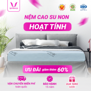NỆM CAO SU NON HOẠT TÍNH THẮNG LỢI