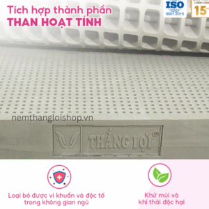 nemthangloishop.vn (10)