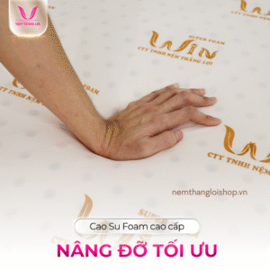 nemthangloishop.vn (100)