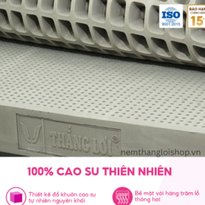 nemthangloishop.vn (11)