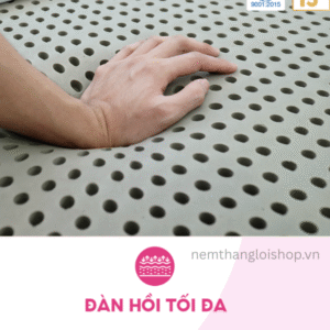 nemthangloishop.vn (12)