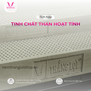 nemthangloishop.vn (14)