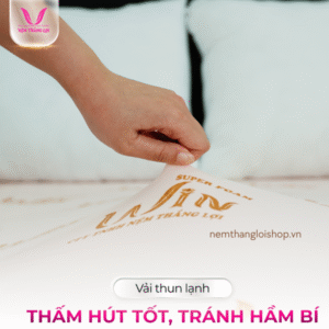 nemthangloishop.vn - 2025-05-12T163352.968