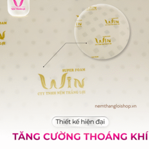 nemthangloishop.vn - 2025-05-12T163420.915