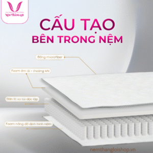 nemthangloishop.vn - 2025-05-12T182131.304