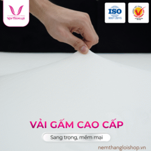 nemthangloishop.vn - 2025-05-12T223632.566