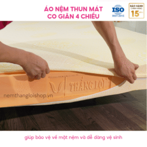 nemcaosuthangloi.net