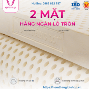 nemthangloishop.vn (3)