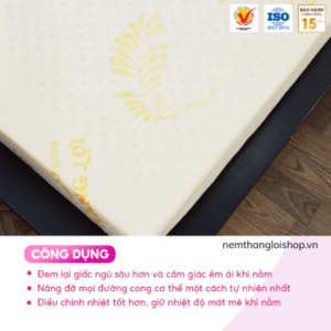nemthangloishop.vn (35)