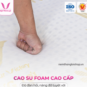 nemthangloishop.vn (38)