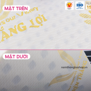nemthangloishop.vn (39)