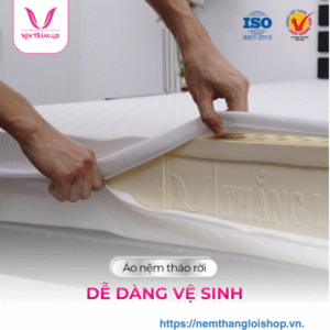 nemthangloishop.vn (4)