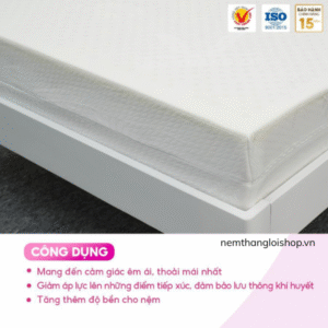 nemthangloishop.vn (42)