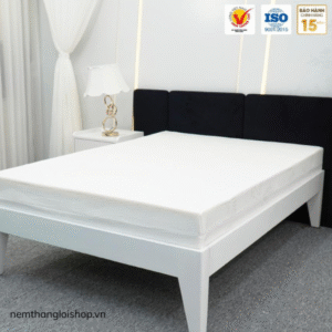 nemthangloishop.vn (45)