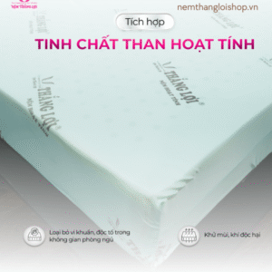 nemthangloishop.vn (54)