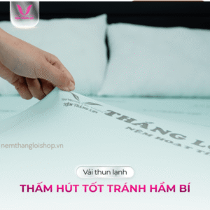 nemthangloishop.vn (56)
