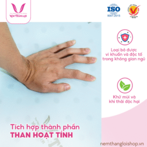nemthangloishop.vn (57)