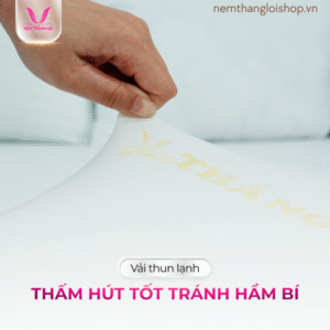 nemthangloishop.vn (60)