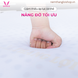 nemthangloishop.vn (61)
