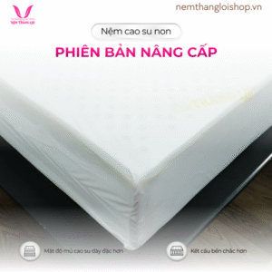 nemthangloishop.vn (62)