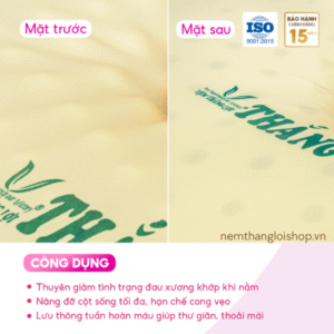 nemthangloishop.vn (66)