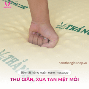 nemthangloishop.vn (67)