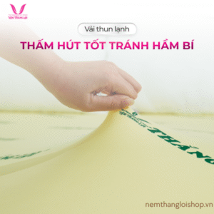 nemthangloishop.vn (68)