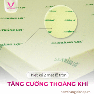 nemthangloishop.vn (73)