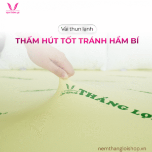 nemthangloishop.vn (74)