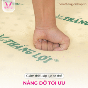 nemthangloishop.vn (75)