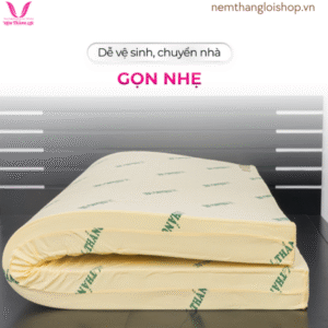 nemthangloishop.vn (76)
