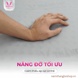 nemthangloishop.vn (78)