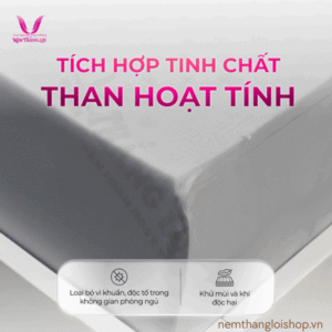 nemthangloishop.vn (79)