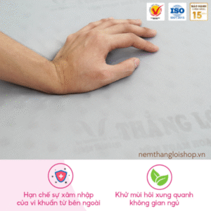 nemthangloishop.vn (81)