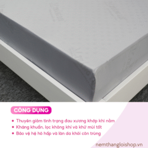 nemthangloishop.vn (82)