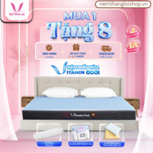 NỆM ĐIỀU HÒA THẮNG LỢI VITAMIN COOL