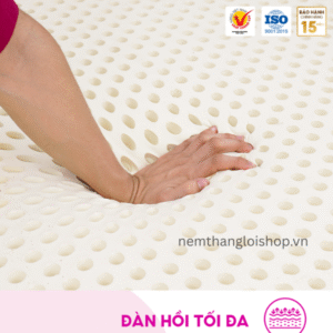 nemthangloishop.vn (9)
