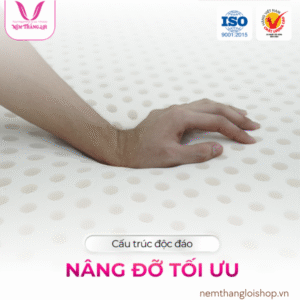 nemcaosuthangloi.net