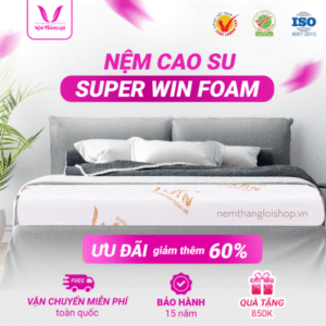 NỆM CAO SU SUPER WIN FOAM THẮNG LỢI
