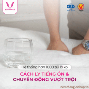 nemthangloishop.vn4